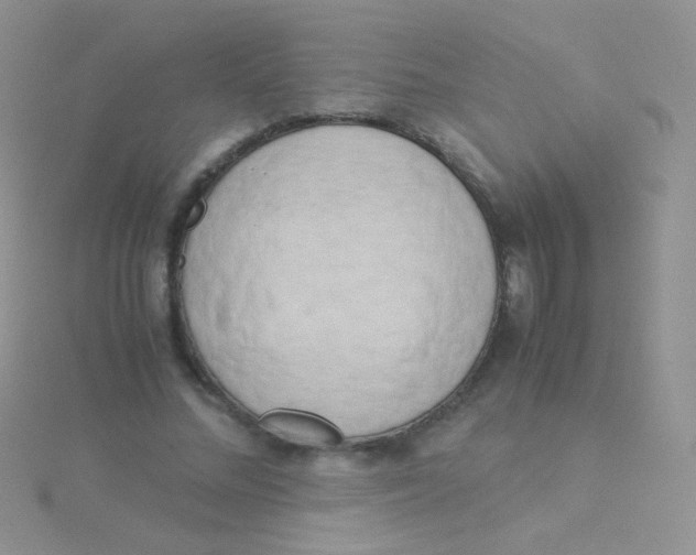 X0000115300684200911231309