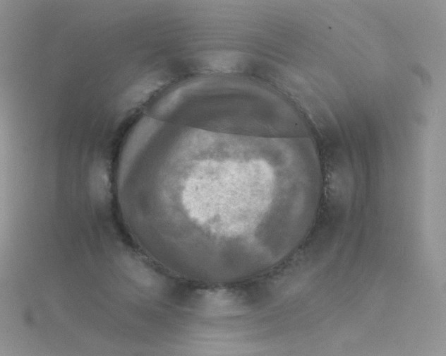 X0000115300688200911231309