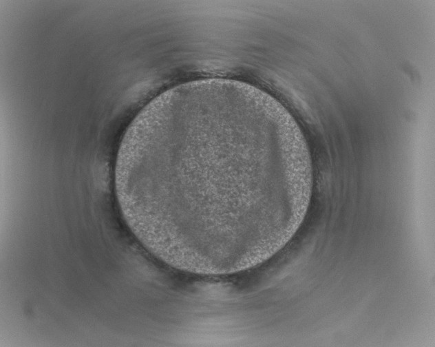 X0000115300689200911231309