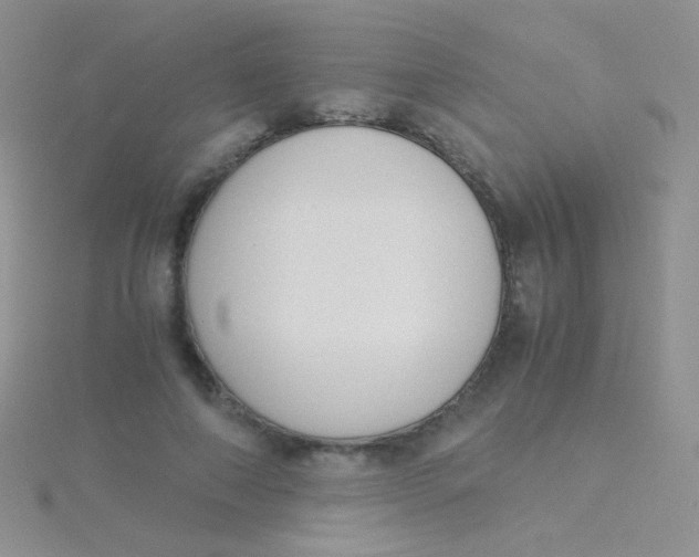 X0000115300690200911231309