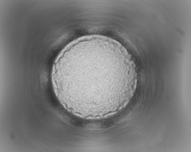 X0000115300691200911231309