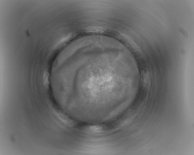 X0000115300692200911231309