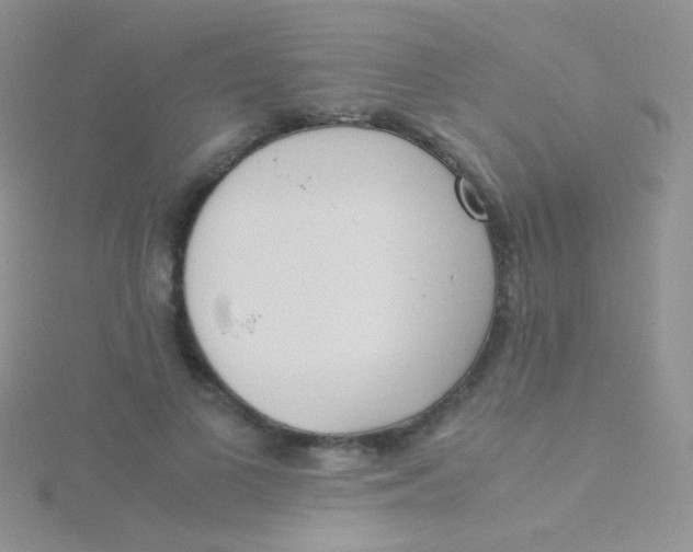 X0000115300693200911231309