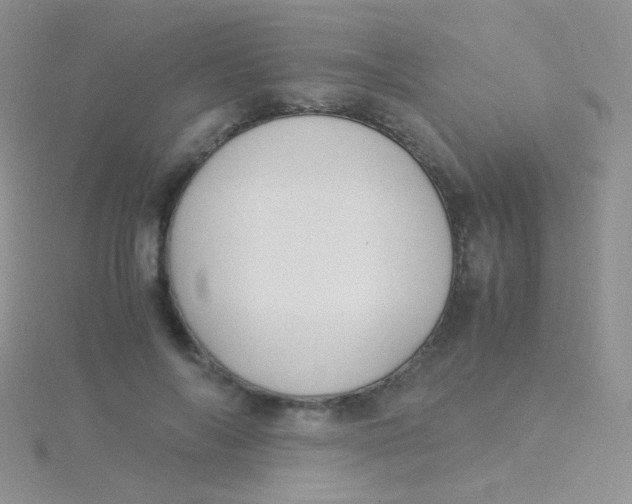 X0000115300694200911231309