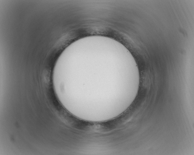 X0000115300695200911231309