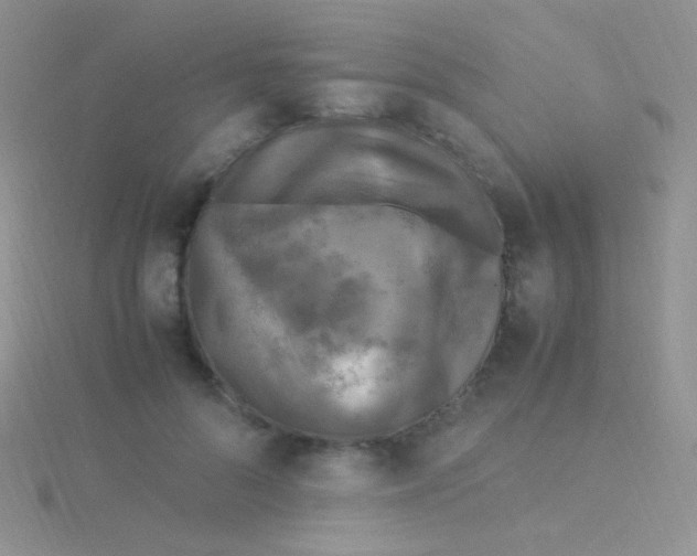 X0000115300696200911231309