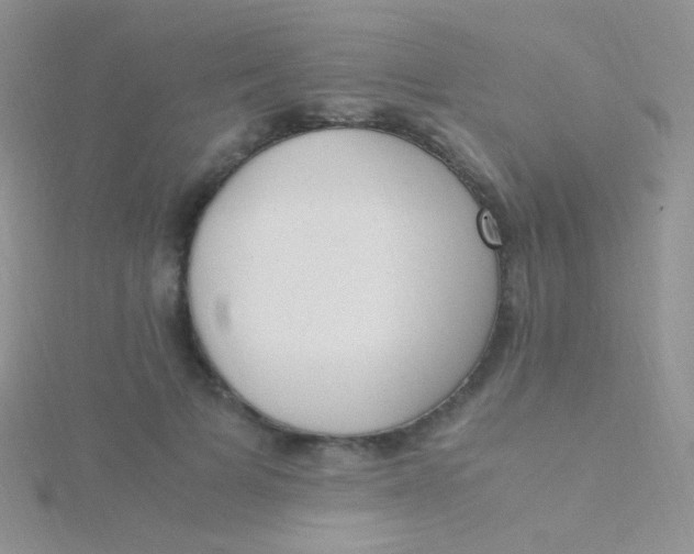 X0000115300697200911231309