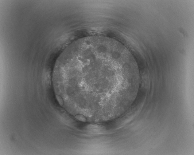 X0000115300699200911231309