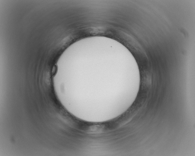 X0000115300700200911231309