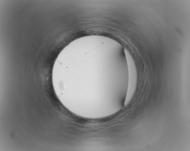 X0000115300701200911231309