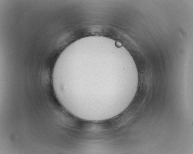 X0000115300702200911231309