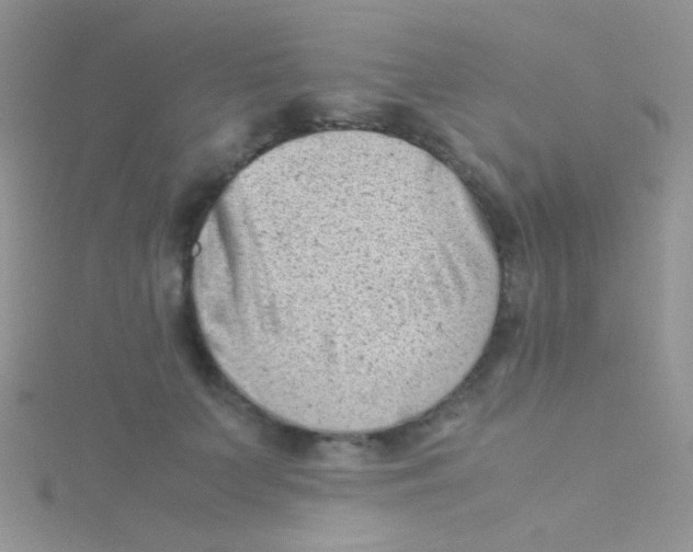 X0000115300703200911231309