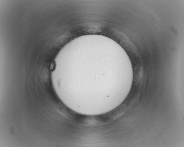 X0000115300704200911231309