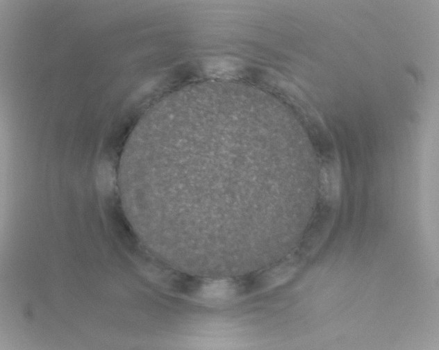 X0000115300705200911231309