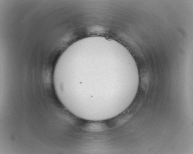 X0000115300708200911231309