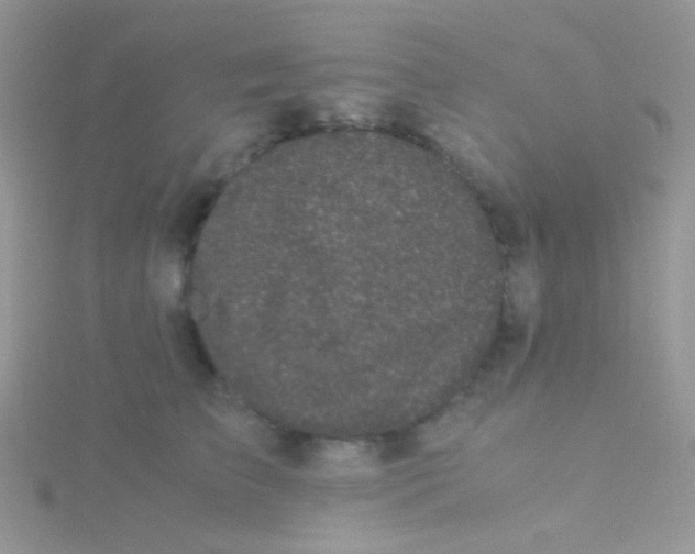 X0000115300709200911231309