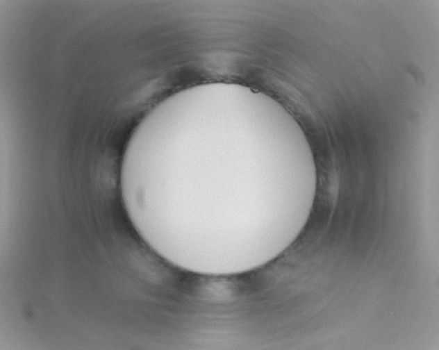 X0000115300710200911231309