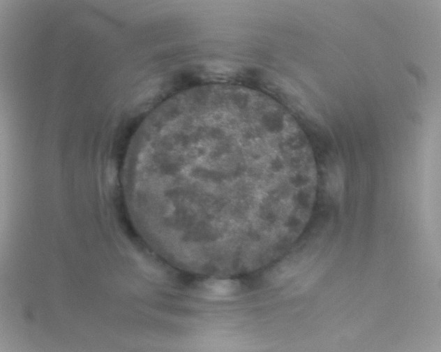 X0000115300711200911231309