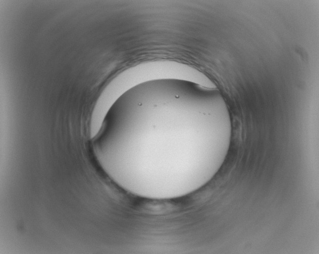 X0000115300712200911231309