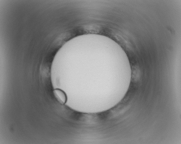 X0000115300713200911231309