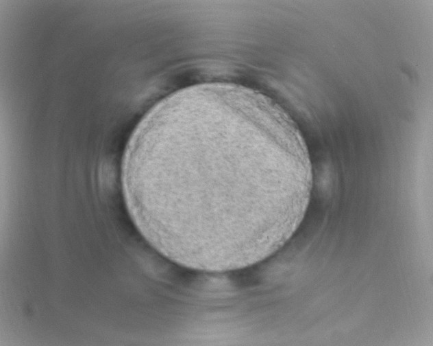 X0000115300715200911231309