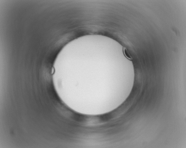 X0000115300719200911231309