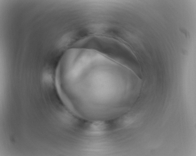 X0000115300720200911231309