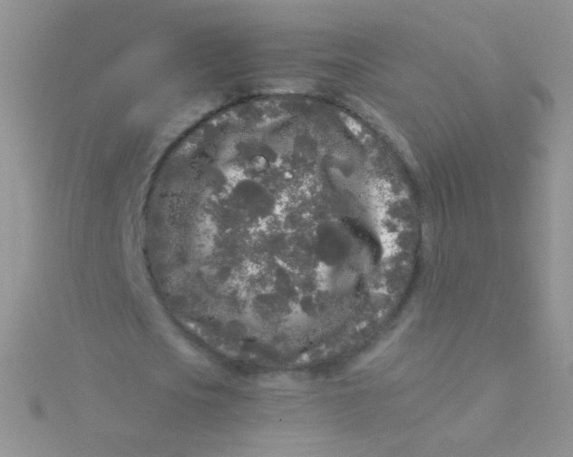 X0000115300721200911231308