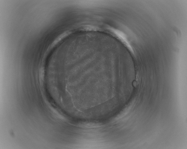 X0000115300722200911231308