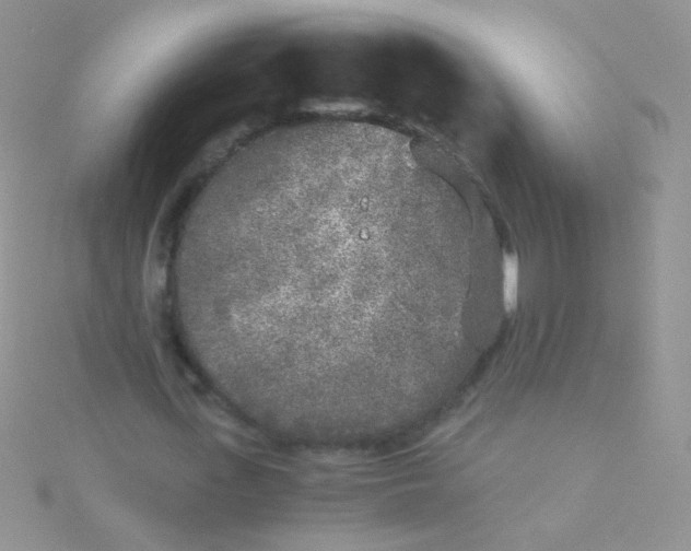 X0000115300723200911231308