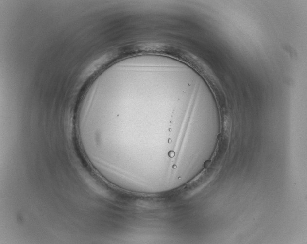 X0000115300725200911231308