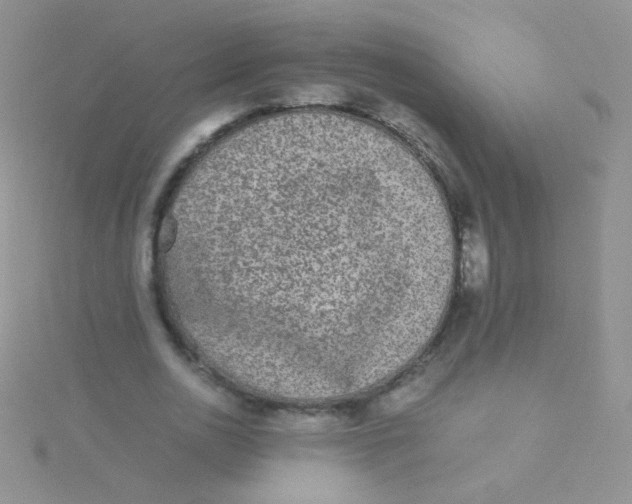 X0000115300726200911231308