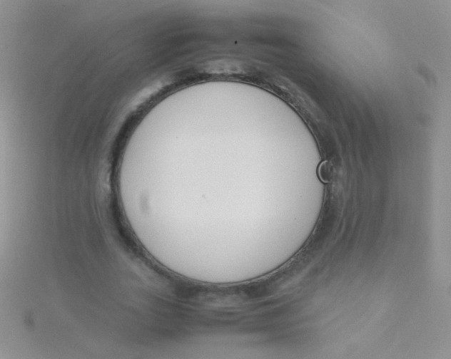 X0000115300727200911231308