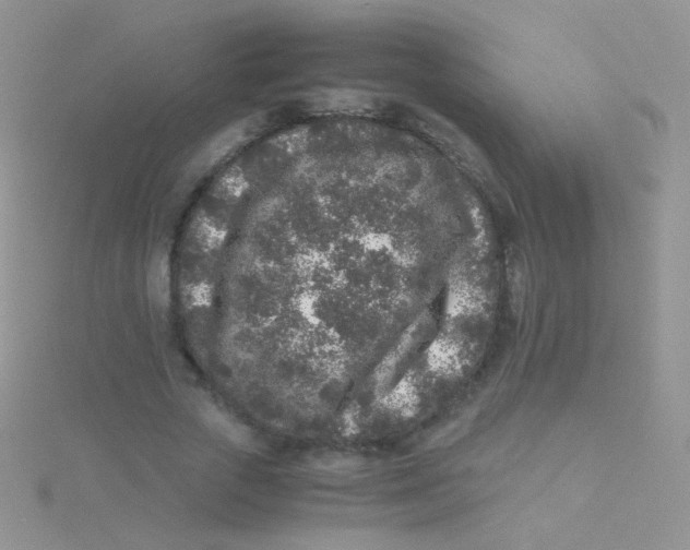 X0000115300729200911231308