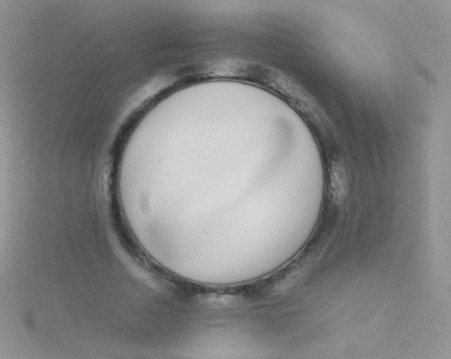 X0000115300730200911231308