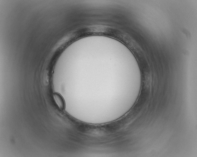 X0000115300731200911231308