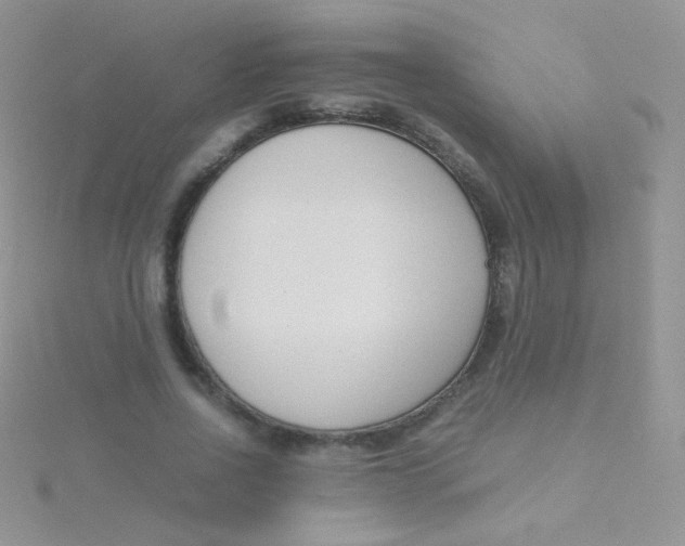 X0000115300734200911231308