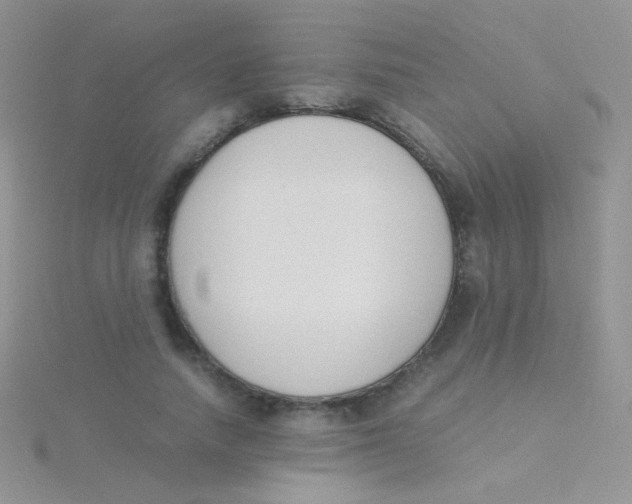 X0000115300738200911231308