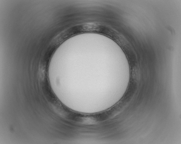 X0000115300741200911231309