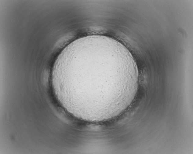 X0000115300742200911231309