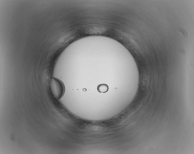 X0000115300743200911231309