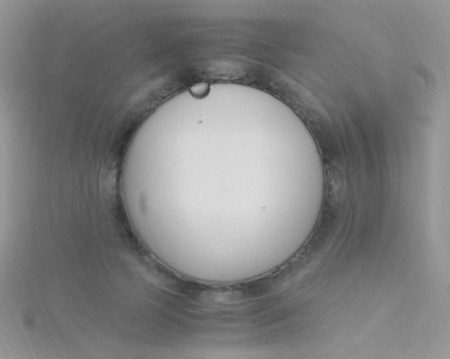 X0000115300745200911231309