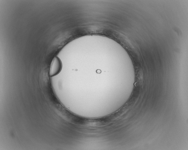 X0000115300746200911231309