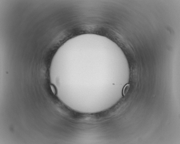 X0000115300750200911231309