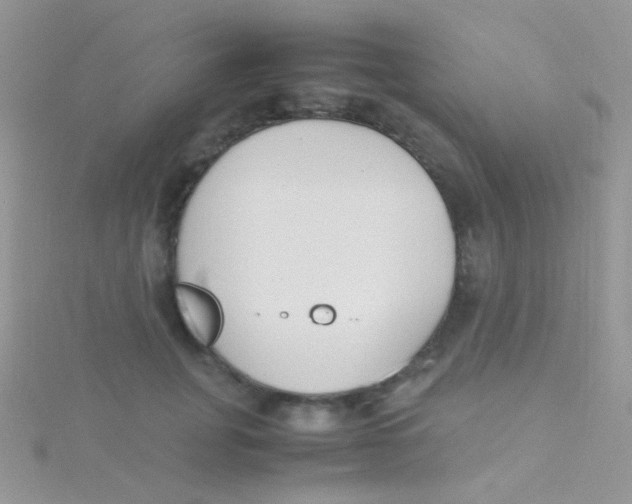 X0000115300751200911231309