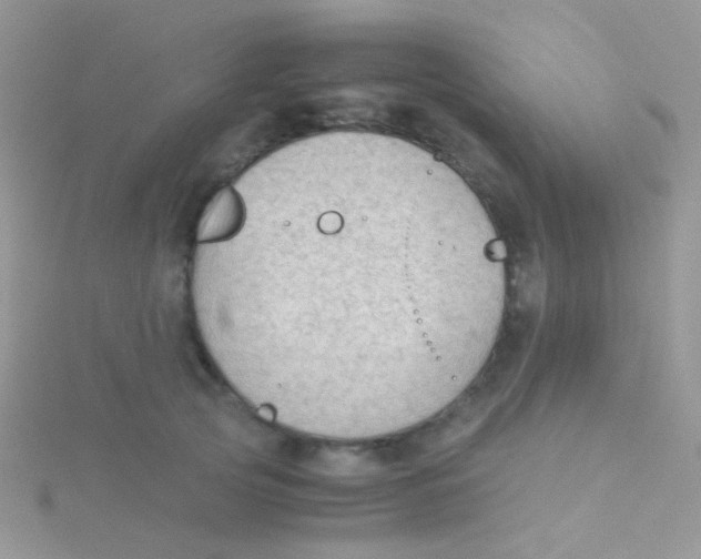 X0000115300753200911231309