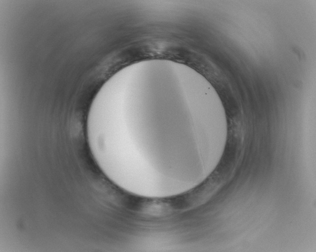 X0000115300754200911231309