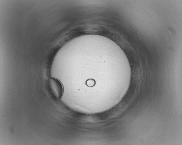 X0000115300755200911231309