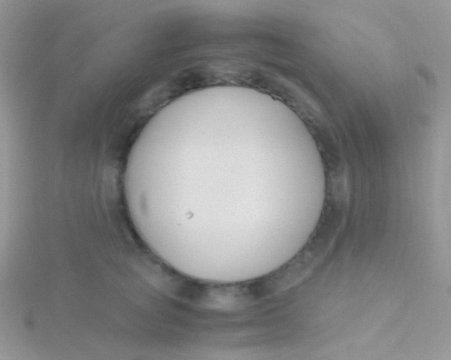 X0000115300757200911231309