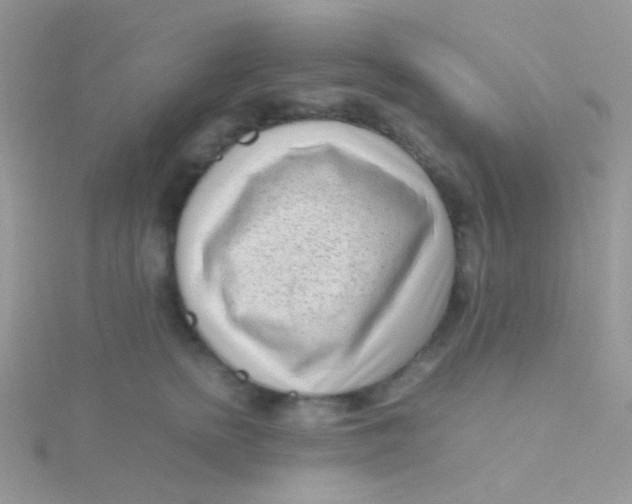 X0000115300758200911231309